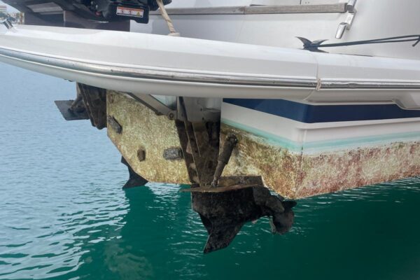 WhatsApp Image 2025-11-21 at 8.07.41 PM (2)