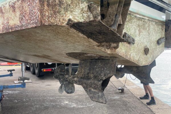 WhatsApp Image 2025-11-21 at 8.07.41 PM (3)