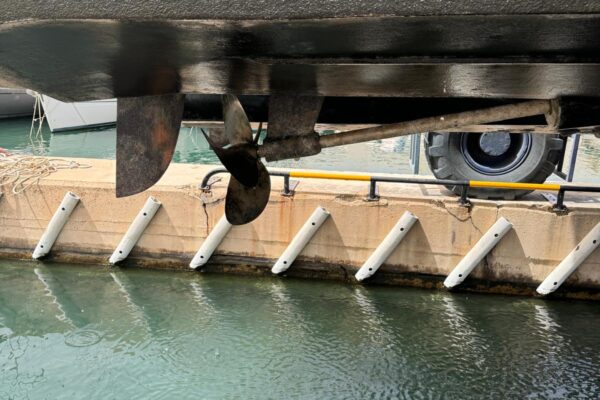 WhatsApp Image 2025-11-21 at 8.07.44 PM (2)