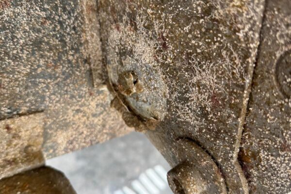 WhatsApp Image 2025-11-21 at 8.07.44 PM (3)