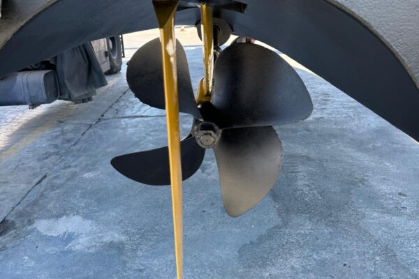 WhatsApp Image 2025-11-21 at 8.07.45 PM (3)