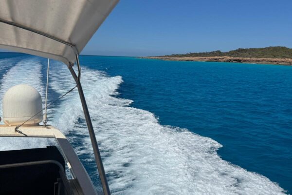 WhatsApp Image 2025-11-21 at 8.07.46 PM (1)