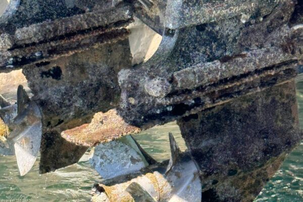 WhatsApp Image 2025-11-21 at 8.07.48 PM