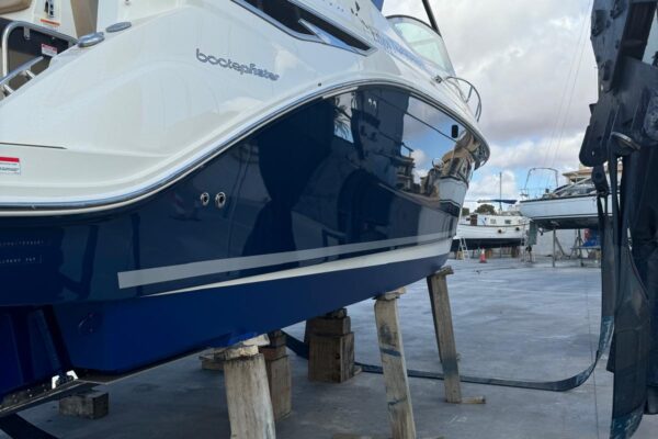 WhatsApp Image 2025-11-21 at 8.07.49 PM